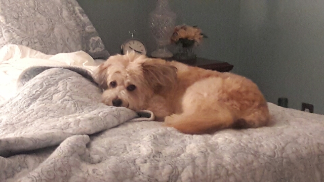 43999758894735132120.0