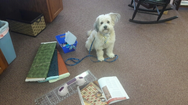 47755021872107170840.0